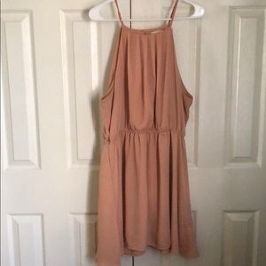 Blush Plus Size Dress